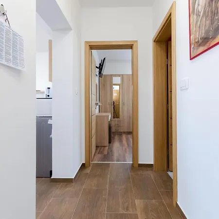 Dobrivoje Apartment Banjol