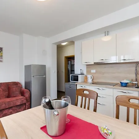 Dobrivoje Apartment Banjol