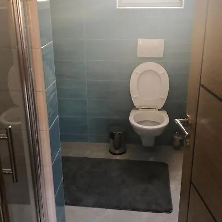 Dobrivoje Apartment
